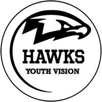 Hawks Youth Vision logo - Similar company to Manzl
