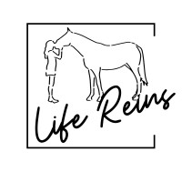 Life Reins, Inc. logo - Similar company to Framily Support Network