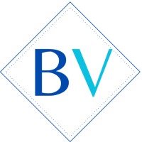 Brand vision logo - Similar company to Dvs Infra Electricals