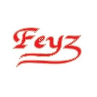 Feyz Dergisi Basın Yayın Tanıtım Ltd. Şti. logo - Similar company to Teknokulis.Com