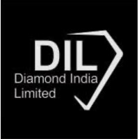 Diamond India Limited logo - Similar company to Modison Metals Ltd