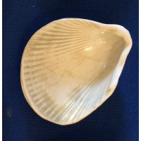 Pottery by Harris logo - Similar company to Intoceramics