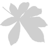 Kastanjehavens køkken, Frederiksberg kommune logo - Similar company to Ådal Ørred