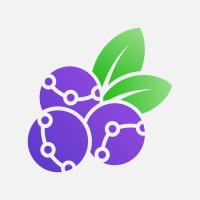 AccountBerry logo - Similar company to Roadeo