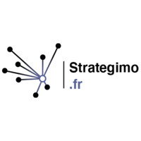 Strategimo logo - Similar company to Strategimo Sàrl