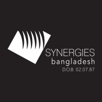 Synergies Sourcing Bangladesh logo - Similar company to Datawave Analytics Hub