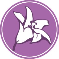 Lilli Pasteleria Bolleria logo - Similar company to Pastelería Totel