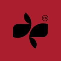 Jubarte Produtora Criativa logo - Similar company to Plug Filmes | Produtora De Filmes