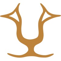 Lyons Risk Management logo - Similar company to Twi Reconstruction