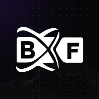 BX Finance logo - Similar company to Transgenie