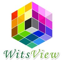 WitsView Display Research logo - Similar company to 4S Distribution