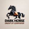 Dark Horse group of Companies {formerly Infinity world tech recruitment} logo - Similar company to Bvs Group Of Companies