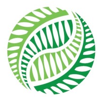 Primary Collaboration New Zealand (Shanghai) Co Ltd logo - Similar company to New Zealand China Trade Association (Nzcta)