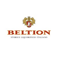BELTION S.R.L. logo - Similar company to Euspray By Eurospray Spray And Filter Technology S.L.