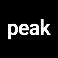 Agentur Peak logo - Similar company to The Next Level
