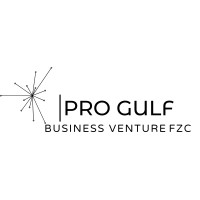 PRO GULF BUSINESS VENTURE FZC logo - Similar company to O2 Consultants