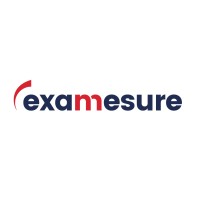 EXAMESURE logo - Similar company to Eskuart