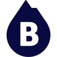 Blue Peak Consulting Group logo - Similar company to Blue Peak