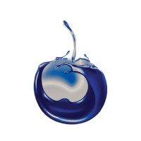 BlueCherry logo - Similar company to Seweazy