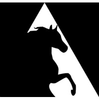 DREAMWEALTH Financial Strategists logo - Similar company to Access Financial Management