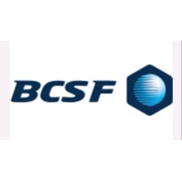 BIRMINGHAM COLDFORM & SPECIAL FASTENERS LIMITED logo - Similar company to Coldform Steel Processing