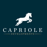 Capriole Developments LINX logo - Similar company to Capriole Developments Eg