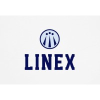 LineX Consulting logo - Similar company to Lunapixel