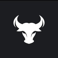 CODE BULL logo - Similar company to Codebulls