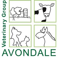 AVONDALE VETERINARY GROUP - EXPORTS logo - Similar company to Uecbv - The European Livestock And Meat Trades Union