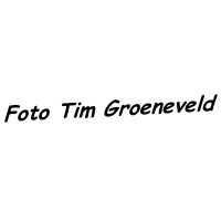 Foto Tim Groeneveld logo - Similar company to Lady Tech