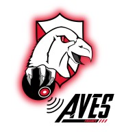 AVES France logo - Similar company to Ko Sud Construction