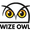 Wize Owl logo - Similar company to Oracle Tek