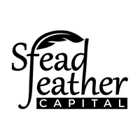 Steadfeather Capital logo - Similar company to The Raivax Group