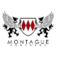 Montague Partners logo - Similar company to E & P It Solutions
