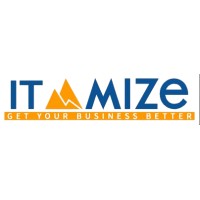 IT Mize Digital logo - Similar company to Digiphal Marketing