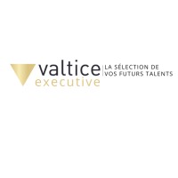 Valtice Executive logo - Similar company to Roma Consulting
