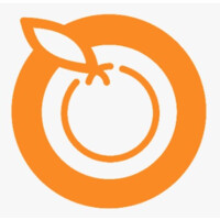 Orange Dish