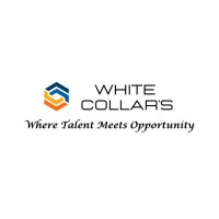 WHITE COLLAR'S logo - Similar company to Career Labs