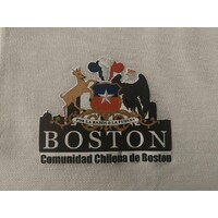Comunidad Chilena de Boston logo - Similar company to Coursing Justice