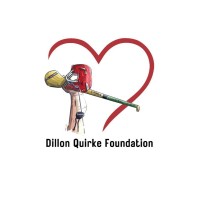 Dillon Quirke Foundation logo - Similar company to Dr King Solutions
