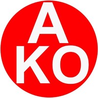 AKO FOODS logo - Similar company to Leemo | لیمۆ