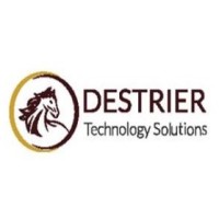 Destrier Technology Solutions Pvt. Ltd. logo - Similar company to Ssaal Infotech Llp