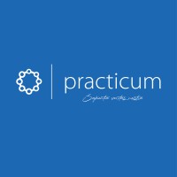 Practicum Foundation logo - Similar company to Magnifica Collection