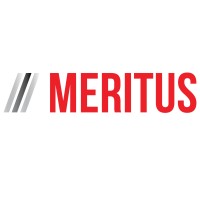 Meritus Consulting logo - Similar company to 1 More Team