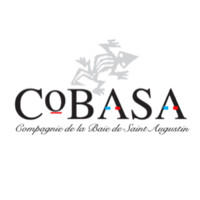 COBASA logo - Similar company to Konspot