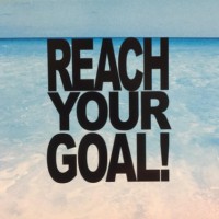 Reach Your Goal Consulting