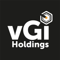 vGi Holdings logo - Similar company to Comm-Ply