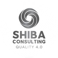 Shiba Consulting logo - Similar company to Eurostaal Impex