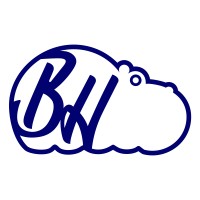 Bluehealth logo - Similar company to Neurocontrol