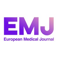 EMJ logo - Similar company to Emj